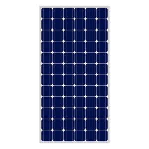 Photovoltaikmodul, 80,5 x158, maßstabsgetreu