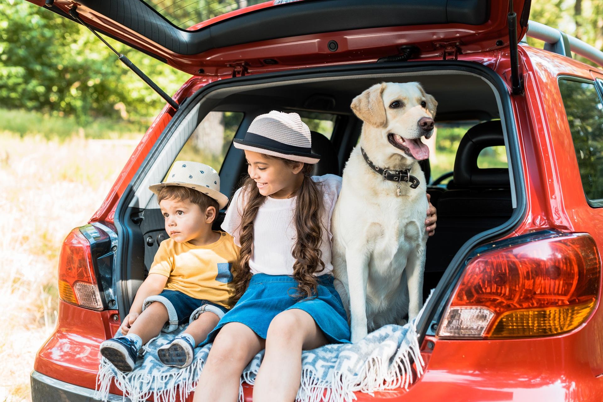 Kinder sitzen mit Hund im Auto | Hundeleckerli