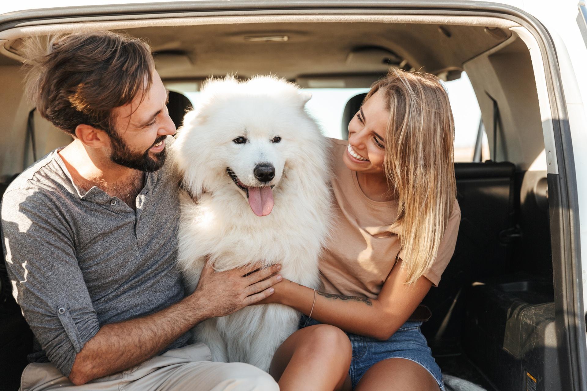Paar sitzt mit Hund im Auto | Hundeleckerli