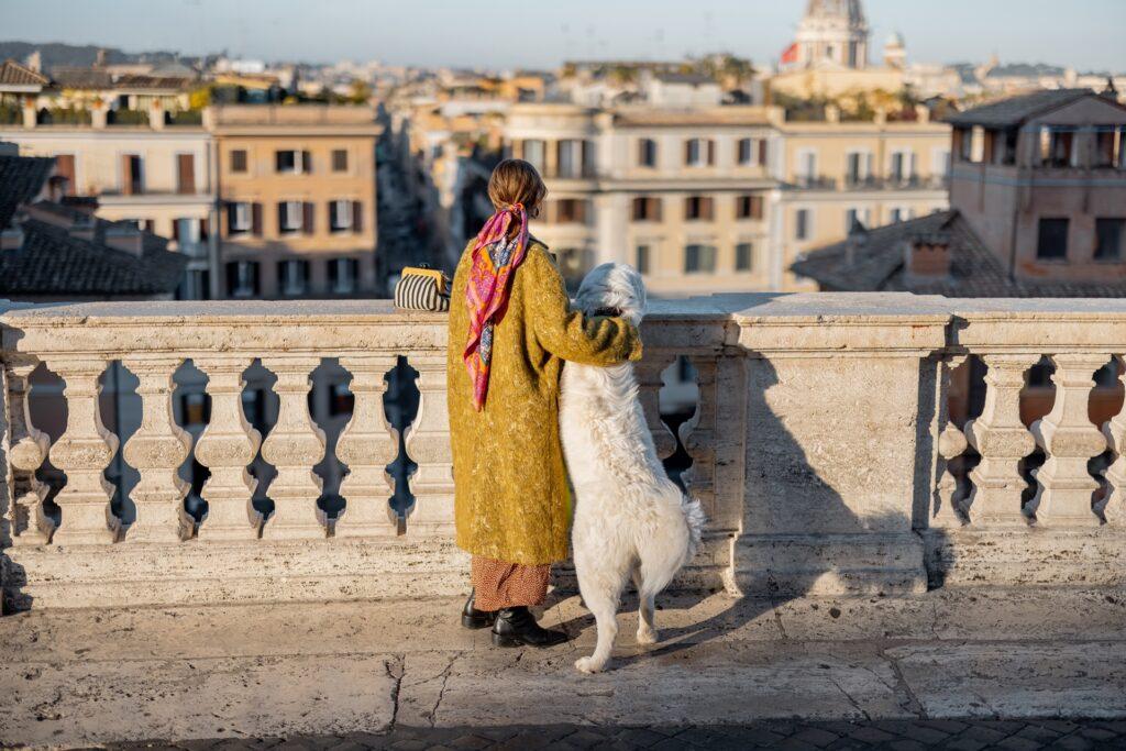 Frau mit Hund schaut über Stadt | Hundeleckerli